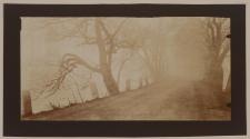 [Tree-lined road]