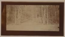 [Woods]