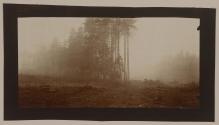 [Woods and cleared land]
