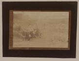 [People and farm animals]