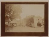 [Horse and chicken on farm]