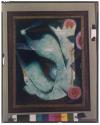[Edward John Stevens, Jr.'s painting Chinese Swan]
