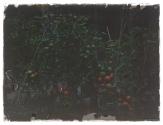 [Vegetable Garden]
