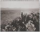 Self portrait with saguaro about my same age, Pinacate, Sonora