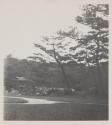 [Japanese garden]
