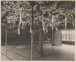 [Japanese style room decorated with a cherry tree]