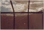 [Still life - yellow netting]