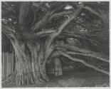 Edward Weston's Darkroom