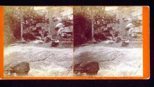 Scenery at West West Falls, Schuylkill County, Pennsylvania
