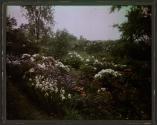 [Garden view]