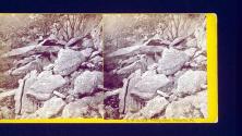 Sharp Mountain Scenery