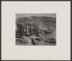 [Grave, Rhyolite, Nevada, 1938]