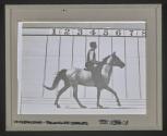 [Cantering (Mahomet): image number 16, frame 1]