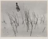 Nude on Dunes