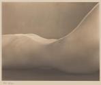 [Nude]