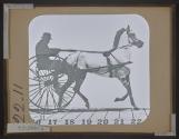 [Trotting (Oakland Maid): illustration number 23, frame 11]