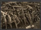 [Pile of clay alligators]