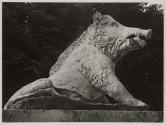Sanglier, Jardin des Tuileries