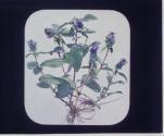 [Untitled]