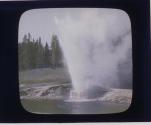 Riverside Geyser in Action.