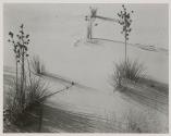 White Sands