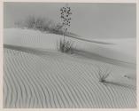 White Sands