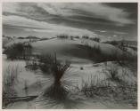 White Sands