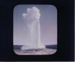 Old Faithful Geyser in Action.