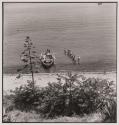 Fishing in Corfu