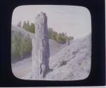 Petrified Trees, near Yancey's.
