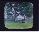 [Untitled]