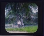 [Untitled]