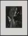 Solitudes 342
