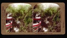 Goose Creek about Lakewood, New York