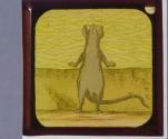 This is the Rat that ate the Malt