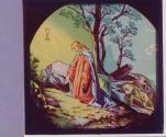 Garden of Gethsemane