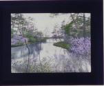 [Untitled]