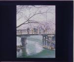 [Untitled]
