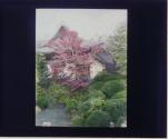 [Untitled]
