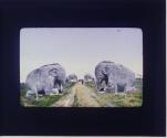 [Untitled]