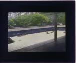 [Untitled]