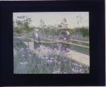 [Untitled]