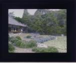[Untitled]