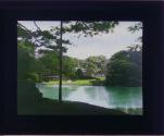 [Untitled]