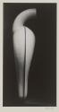 [Bedpan]