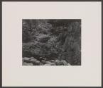 Point Lobos