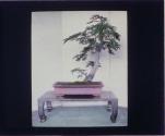 [Untitled]