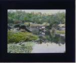 [Untitled]