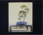 [Untitled]