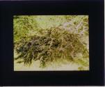 [Untitled]